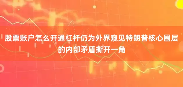 股票账户怎么开通杠杆仍为外界窥见特朗普核心圈层的内部矛盾撕开一角
