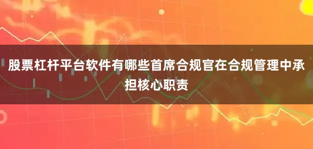 股票杠杆平台软件有哪些首席合规官在合规管理中承担核心职责
